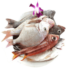 海南三亚新鲜海鲜 野生海鱼多品种海鱼杂鱼2斤