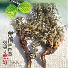 正品翻白草茶精选野生带根全草中药材配地骨皮枸杞根250g克包邮