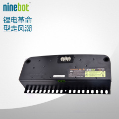 Ninebot 纳恩博双轮两轮平衡车450wh标准电池 九号平衡车专用配件