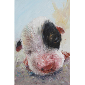 美展获奖布面油画23次围观开拍时间待定起拍价062800董建英《萌系列