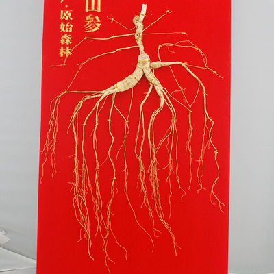 长白山野山参 55年左右 - 拍卖