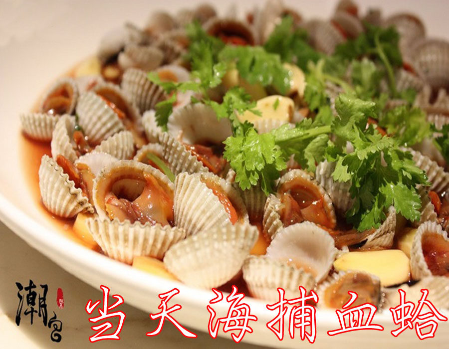 广东潮州特产海鲜贝类血蚌血蛤血蚶花蛤银贝类贝类制品