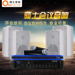 骑士音响 QAXELECTRIC 600 130E B14 组合音响 开会培训 会议音箱