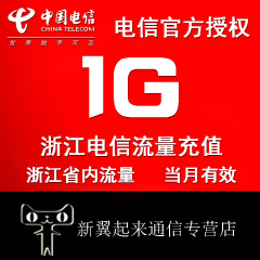 浙江电信流量包1G低价 省内上网流量可叠加 2 3 4G 宁波杭州绍兴