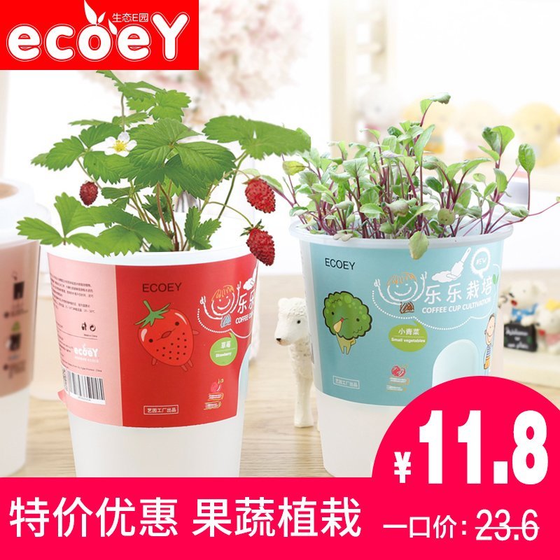 ECOEY迷你盆栽创意蔬果种植DIY水培植物办公桌植栽成人儿童小农场产品展示图5