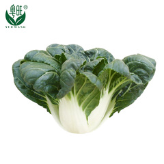 【粤旺】新鲜有机蔬菜 鹤斗白苗菜奶白菜 500g