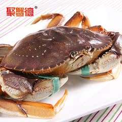 【聚蟹德】加拿大鲜活珍宝蟹700g 鲜活水产 进口海鲜 珍宝蟹 蟹
