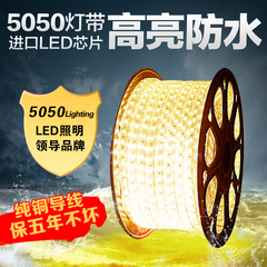 led灯带5050防水霓虹灯条客厅吊顶柜台七彩变色高亮贴片软光带