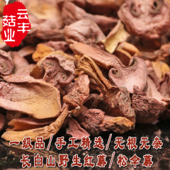 一级红蘑/松伞蘑野生红松伞蘑菇松伞蘑红肉蘑云丰菇业东北长白山