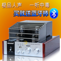 精准人声胆管功放机 hifi发烧胆机/电子管/前胆后石 hifi音箱绝配