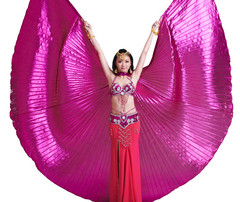 肚皮舞翅膀 印度舞蹈服饰配饰表演出服道具360度特价  不开叉翅膀