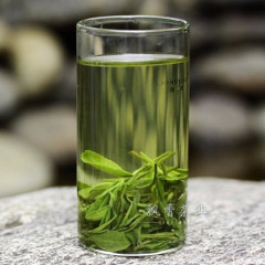 信阳毛尖2016新茶叶 高香毛尖茶雨前野茶500g 春茶绿茶 特价包邮