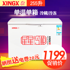 XINGX/星星 BD/BC-255E 大冰柜冷柜 家用商用 卧式单温冷冻冷藏柜