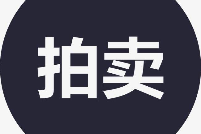 名企资产 - 破产资产 - 阿里拍卖