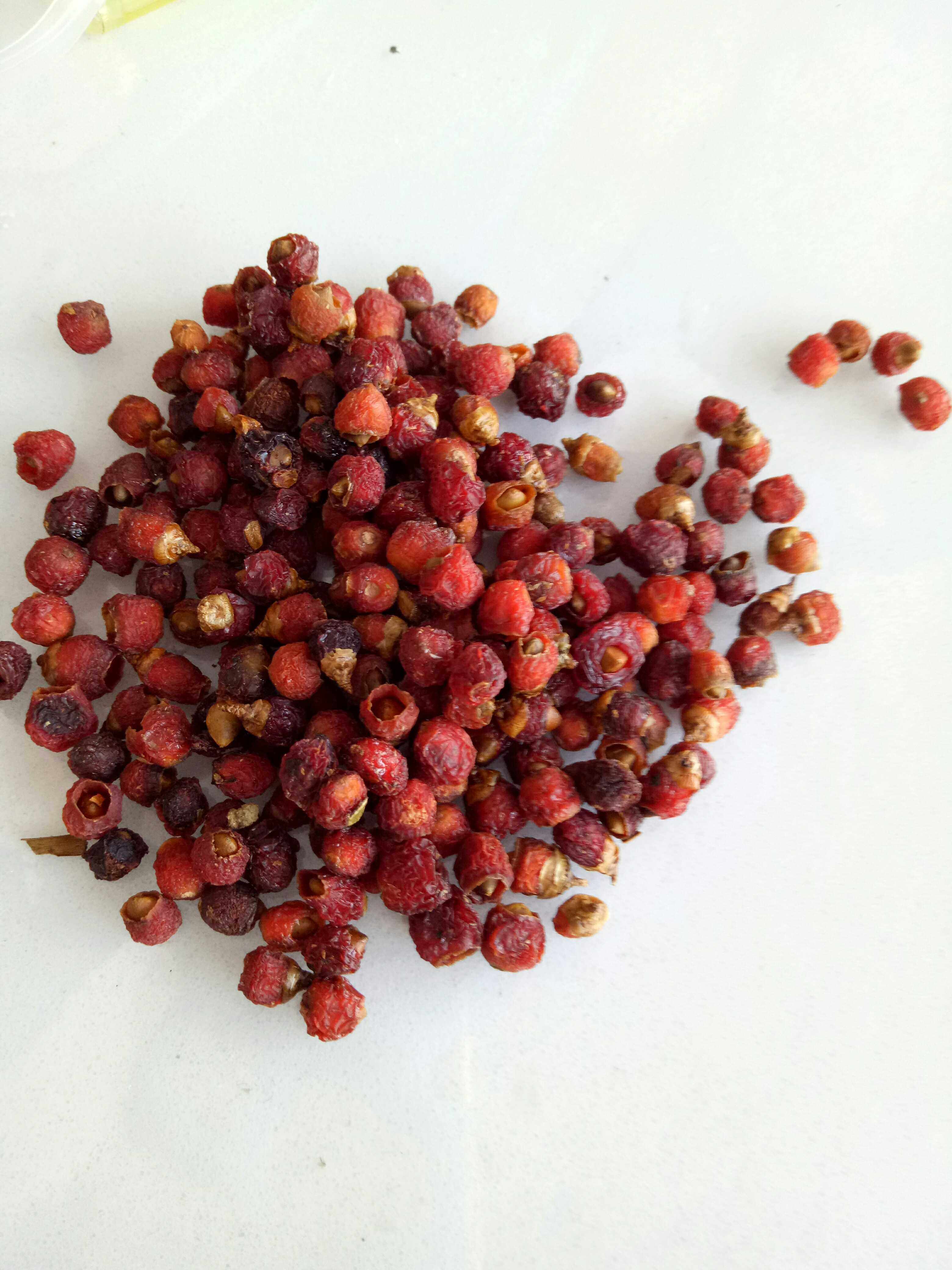 红豆杉果干果泡酒泡茶的果子纯美果实红豆杉果实一斤