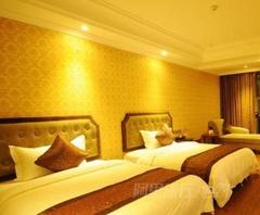 重庆武隆仙女山依云度假酒店标准双床房