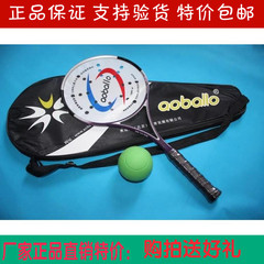 奥博隆太极柔力球拍套装 高档碳纤维套路拍 柔力球正品 柔力球