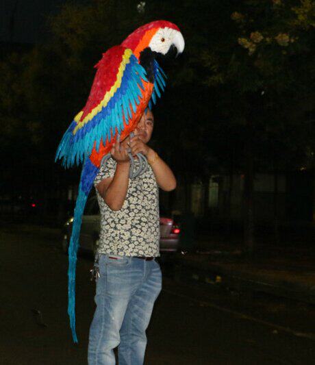 濮艺旗舰店的优惠券大全—定制各尺寸特大巨型仿真羽毛鹦鹉仿真大嘴鸟