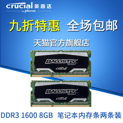 Crucial英睿达镁光铂胜运动系列笔记本内存条DDR316004G两条装