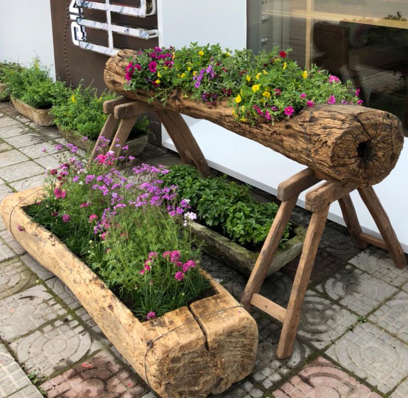 老木头花盆价格