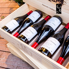 WINEBOSS 尼姆之丘法国原瓶进口红酒明星酒庄AOC原装干红葡萄酒