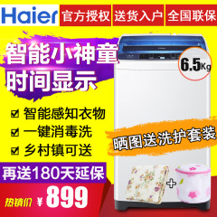 Haier/海尔 EB65M2W洗衣机全自动小神童家用波轮节能6.5公斤包邮