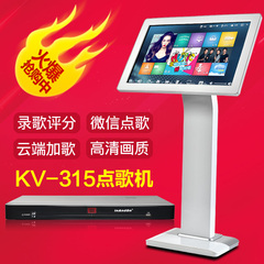 TPF KV-315 家庭KTV点歌机触摸屏 内置WIFI卡拉OK家用点唱机套装