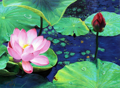 朝鲜名家 朴成龙 《荷花》 一级画家 朝鲜丙烯画