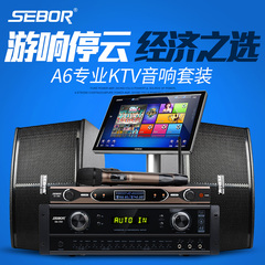 SEBOR A6专业家庭KTV音响套装卡拉OK家用10寸音箱功放点歌机设备