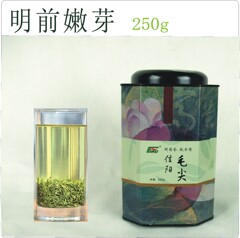 信阳毛尖 2015年新茶叶 绿茶 明前特级250g 自产自销 特优春茶