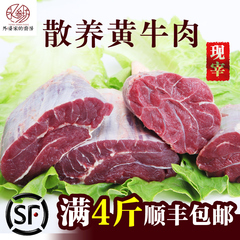 永参坊 新鲜牛肉农家生牛肉正宗黄牛肉生鲜牛腱子牛腩 现宰一斤