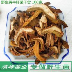 野生黄牛肝菌干货 黄赖头 云南楚雄南华土特产蘑菇 鲜香嫩滑煲汤