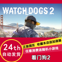 自动发货 Steam Watch_Dogs 2 看门狗2 豪华版|黄金版 国区 预购