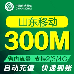 山东移动流量300M省内手机流量叠加包支持2G3G4G当月有效