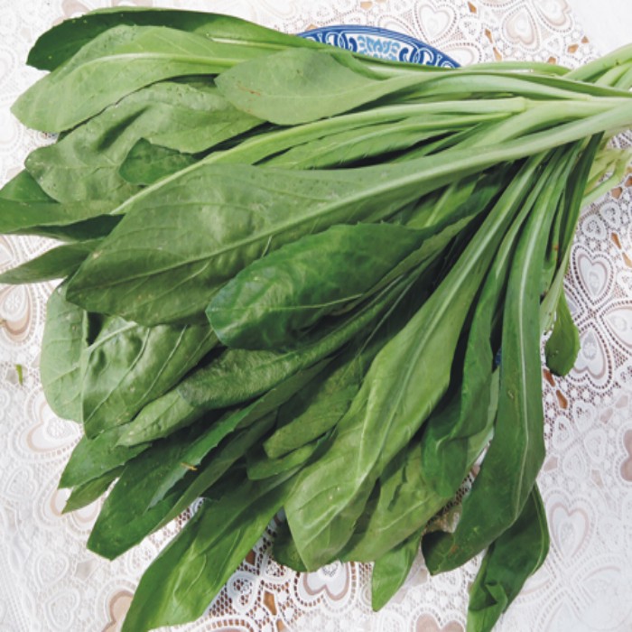 1公斤云南新鲜藏红花低价直销野菜