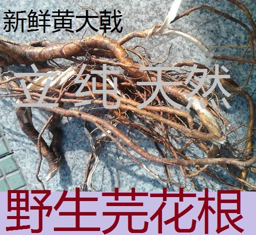 新鲜芫花根yuanhuagen黄大戟蜀桑闷头痛花树野生芫条根250克