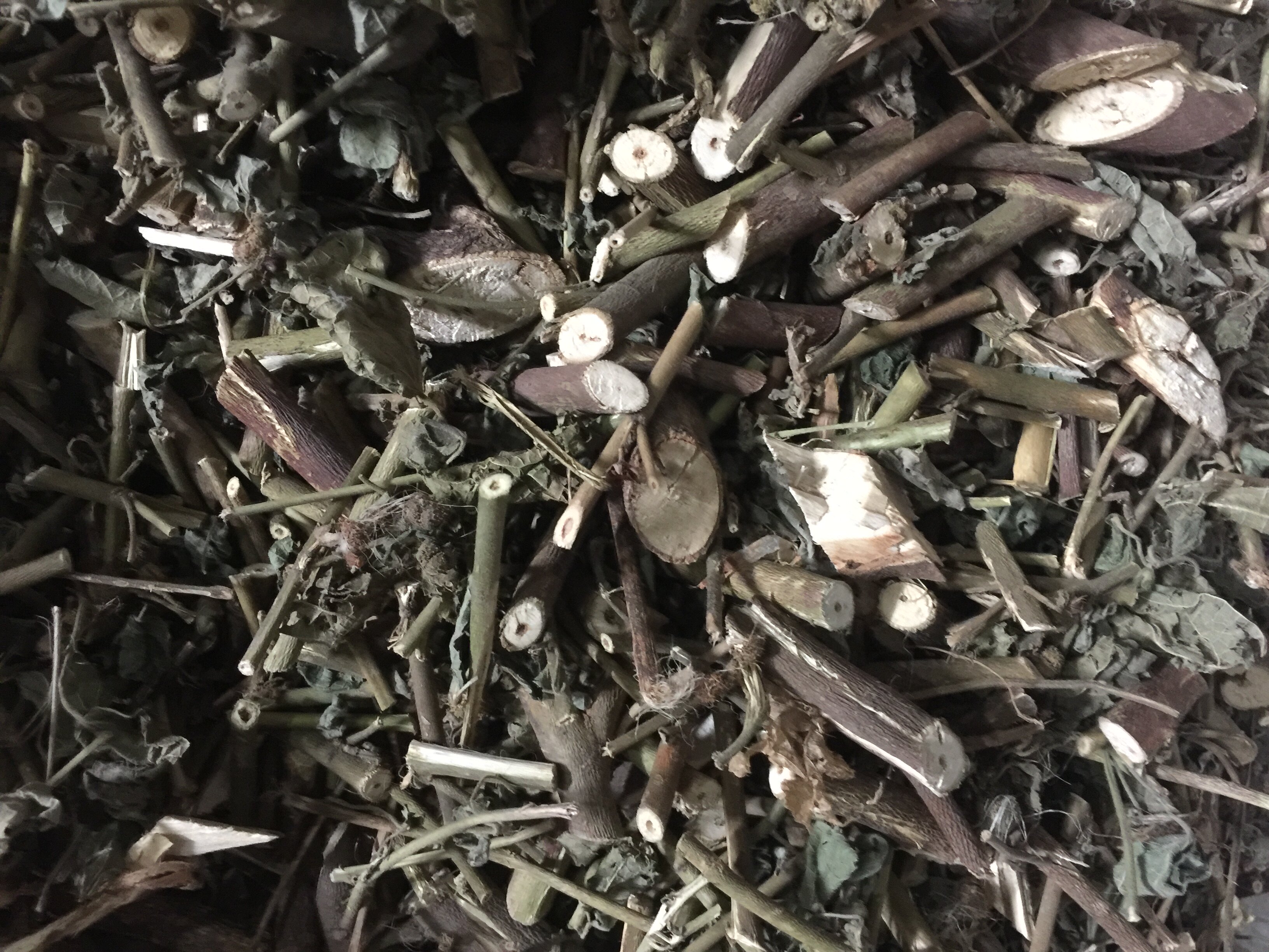 青草药野生白花虱母头虱母球虱麻头500克