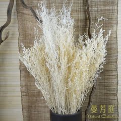 情人草 干花装饰永生花摆放花艺 天然干花工艺品味插花圣诞节礼物