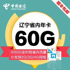 辽宁电信3/4G无线上网卡资费卡流量卡60GB 省内流量年卡