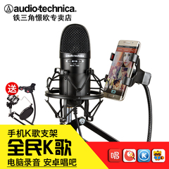 Audio Technica/铁三角 AT9934USB电容麦电脑录音配音录乐器话筒