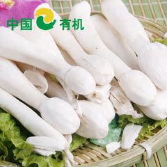 顺意生 菌菇类 新鲜蔬菜 新鲜鸡腿菇 500g  保鲜配送