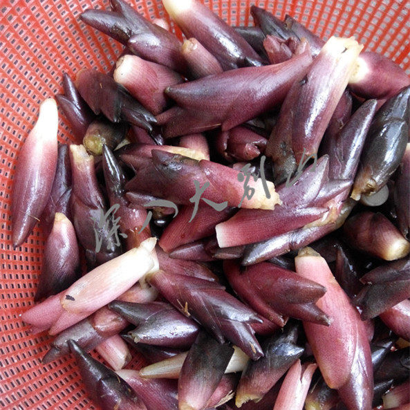 霍山 野生阳荷姜洋荷茗荷莲花姜阳霍/蘘荷/洋胡姜 已下市