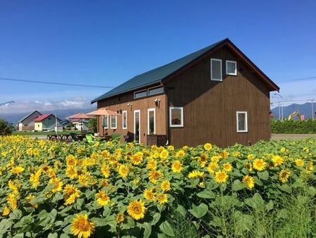 和树爱乡村小木屋