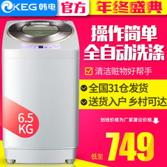 KEG/韩电 XQB65-D15188波轮洗衣机 全自动迷你滚筒单人家用电器