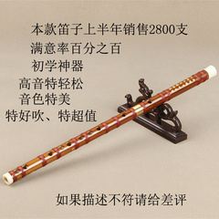 笛子乐器初学 黄铜单插笛子 厂家直销 包邮  潘士平专为初学制作