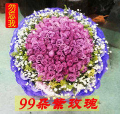 99朵紫玫瑰花束北京同城鲜花速递送花上门古城五棵松公主坟木樨园