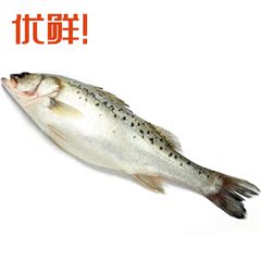 [优鲜]青岛新鲜鲈鱼 野生新鲜鲈鱼 花鲈、寨花、鲈板、鲈鲛 500g