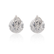 Good Korean fashion jewelry CZ leaf female temperament to long leaf earrings-Stud Korea