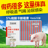 兽药藿香正气散 狗马牛羊药猪药 兽用猪用抗病