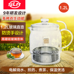 1.2L玻璃直壶